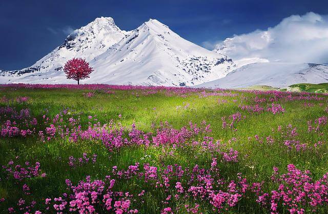 The Alps